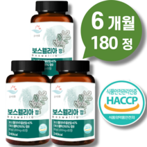 고함량 프리미엄 보스웰리아 효능 프롬 바이오 홈쇼핑 관절 플러스 환 약 BCC 정 추출분말 1000mg 48% 60정 인도산 + 종근당 비타C 젤리 정품 발송!!!, 보스웰리아 6개월 180정