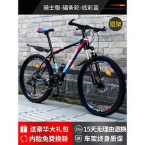 튼튼한 출퇴근 mtb 자전거 산악용 산악 학교 직장 트렉 입문용 트랙, 27속, 24인치, 라이더 알루미늄 선반 스포크(샤이닝)