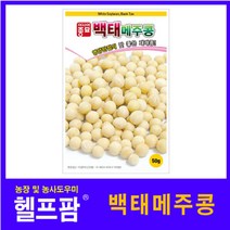 (콩씨앗종자) 백태콩(메주콩)(50g)