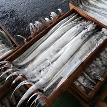 더기분 제주 갈치 제주도 은갈치 냉동 왕 생 생물 택배 선물 세트, 대(350내외) 3마리