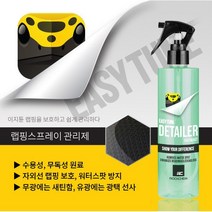 이지튠 후 관리제 퀵디테일러 랩핑 관리제 물때 제거제 (300ml), 1개