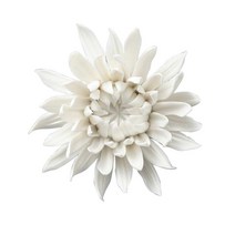 손으로 만들어진 세라믹 꽃 조각 홈 거실 침실에 대 한 artation에 대 한 장식에 대 한 벽 장식 매달려, 데이지 8.5cm