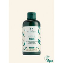 더바디샵 진저 스캘프 케어 컨디셔너 250ML CONDITIONER GINGER 97896, 1