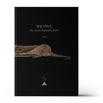 껍질 이야기 또는 미술의 불완전함에 관하여