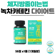 먹으면서다이어트 허리둘레 허벅지살 체지방줄이는법 건강기능식품 50대 60대 녹차카테킨 비타민C 보이차 추출물 항산화영양제 중년뱃살 내장지방 콜레스테롤수치 개선 녹차가루