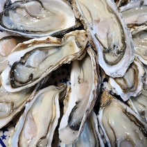 여수아빠다 통영 하프셀 반각굴, 하프셀 2kg(2인분)