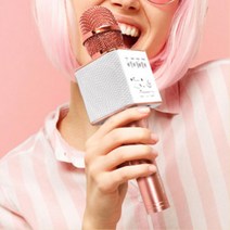 캠핑 강의 무선 노래방 마이크/ 스탠드마이크 음질좋은 회의마이크 수업용, 블랙