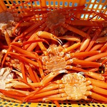 산지 선주직송 일반홍게 1kg(3-5미쯤) 마리당 250~350g, 일반홍게 1kg(생물)