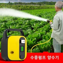 충전식 수중 모터 펌프 소형 양수기 24Ah/50M 가정용 야채 정원 농약 자동 물빼기, 단품
