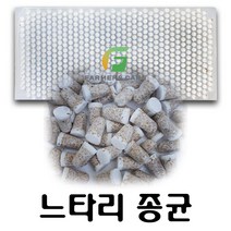[파머스케어] 느타리 버섯 종균 1판 606알 캡슐형 종균버섯, 느타리 캡슐종균 1판(606알)