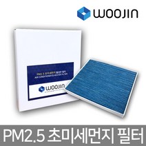 우진필터 PM2.5 초미세먼지 포드 에어컨필터, 익스플로러 6세대/YCF04