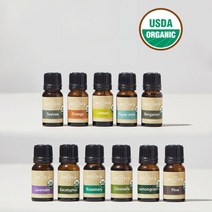쏘이지 천연 유기농 에센셜 아로마 오일 10ml, 유칼립투스