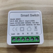 투야 미니 와이파이 스마트 스위치 양방향 홈 DIY 조명 라이프 알렉사 구글 16A, 1.Smart Switch
