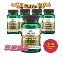 최신정품 Swanson 풀 스펙트럼 그레이프 시드 380mg 100정 5통 스완슨 Grape Seed +휴대용약통 별도증정, 5개