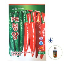 2023 팜한농 PR청양 100립 500립 고추 종자 씨 씨앗 + 농사친구 사은품 세트, PR청양500립+고추칼슘