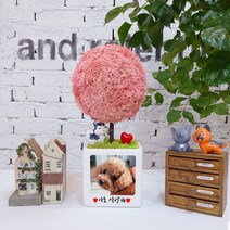 스칸디아모스 천연이끼나무 공기정화 주문제작, 07.빅큐브 포토트리-핑크
