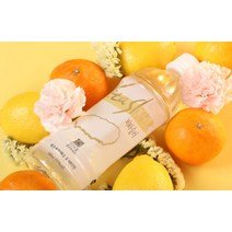 위스타리아 제주용암해수 비타민 MZ세대 500ml 비오틴 콜라겐 6개입 비타슬러 음료 전해질 음료수 비타음료수, 상세페이지 참조, 상세페이지 참조, 상세페이지 참조