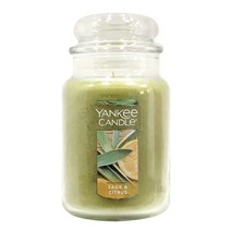 양키캔들 라지자 캔들, 세이지 앤 시트러스, 623g, 1개