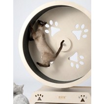 무소음 고양이 캣힐 고양이용 클라이밍 프레임 애완동물 달리기 인터랙티브 스포츠 운동 휠 장난감 도매, 한개옵션0