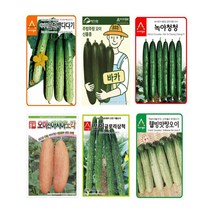 팜스마켓 오이씨앗 종자 노각오이 가시오이 미니오이 오이씨 50립, 2.바카오이 10립