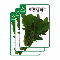 아시아종묘 채소씨앗 - 로켓샐러드(12gx3)(루꼴라 루콜라)가정원예용, 3개