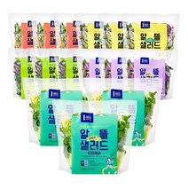 [1am] 알뜰 데일리 세척 야채 샐러드 5종 혼합구성, 15팩, 100g