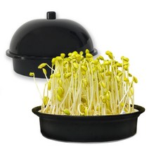 감성편의점 중형 집에서 콩나물 키우기 재배기 키트 가정용 어린이, 3)소형키트(노란콩+설명서)