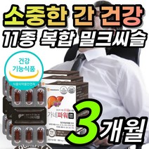 11종 복합 식물성 캡슐 밀크씨슬 밀크시슬 밀그 밀크 시슬 시술 티슬 티술 실리마린 실리마리 만성 피로 쉽게 지친 지치는 직장인 부모님 간 건강 보호 도움 영양제 + 알 약 케이스, 1개, 3개월 / 3개