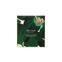 [레오제이 Pick] 슈레피 겟리프 트윈 패드팩 20팩 (40매)