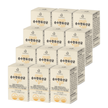 19종 250억 순수한 유산균 30캡슐 12개