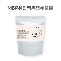 MBP유단백복합추출물 170g 분리유단백분말 가수분해유청단백질WPH 함유 프로틴파우더 단백질파우더