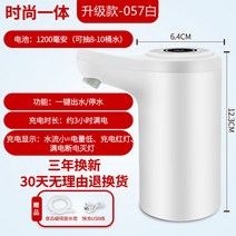 물 펌프 디스펜서 충전 취수기 무선 전기 자동 물통 미네랄 캠핑 생수 야외 워터 스마트 가정용, [업그레이드+빅배터리+빅워터펌프] 화이트