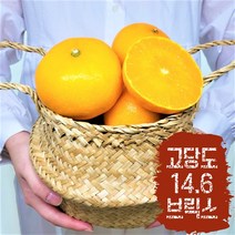 제주 천혜향 14브릭스 고당도 농장직송 명품 천혜향 가정용 5kg, 중대과 5kg (15~20과)