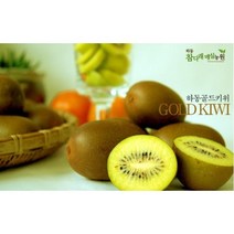 하동참다래매실농원 골드키위 쥬스용 (개당 65g 내외 소과), 5kg 쥬스용