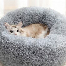 고양이방석 보들보들 보들애견방석 (50cm 애견방석 강아지방석 60cm) 마약방석 반려동물방석, 60cm_아이보리