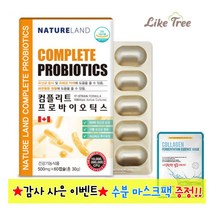lgg유산균 락토바실러스 애시도필러스 프로바이오틱스 프리바이오틱스 분말 가루 플란타룸 가세리 17종 혼합 생존 장내유익균, 1박스, 60캡슐