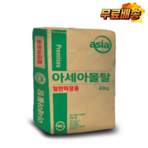 아세아 몰탈 시멘트 미장용 인테리어 자재 1포 40kg
