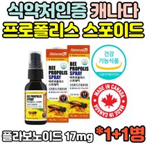 건강기능식품 비 캐나다 프로폴리스 스프레이 목 뿌리는 원액 액상 청소년 키즈 어린이 유아 아기 아동 임산부 부모님 선물 추천 효능 30대 40대 50대 식약처인증