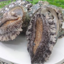 전복맛들 더 싱싱한 참전복 ~50미1kg 손질칼증정 싱싱비법포장, 단품