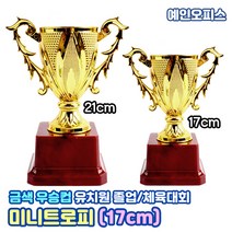 예인오피스 미니트로피 (17cm) 우승컵 운동회 체육대회 졸업 만들기재료 칭찬 기념품 우승트로피 상패 유치원 어린이집 행사트로피 어린이상장