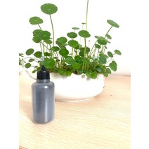 연마재 30/50/100/120ml 비 독성 윤활제 흑연 파우더 병 미세 엔진 커버 안전 게이트 자물쇠, [03] 100ml, 03 100ml