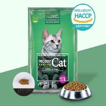 [TOP100] 프로베스트 캣 2kg 전연령용 아기 고양이 건식 사료 12391EA, 본상품선택