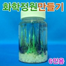 현wisehm_과학화학정원 삼투압현상관찰 실험 만들기♥pcallme, ♥pbme!!