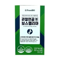 이병헌 관절 연골 보스웰리아 추출물 등 복합 물 테르텐 홈쇼핑 손 무릎 보스밸리아 쎄레타 유향 나무 사막의 진주 식약처 인정 인증 보스벨리아 보스웰릭산 보스웰산 항산화 인도산 추천, 1. 4개 120정 (2개월분)