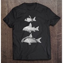 Corydoras 코리 메기 팬더 코리 수족관 물고기 선물 티셔츠 특대 티셔츠 남성 티셔츠 스포츠 여성 커플 만화 티셔츠