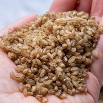 땅기운 [고산농협] 친환경 늘보리쌀(겉보리)1kgx2팩, 1세트