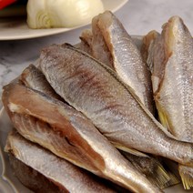 [서하]깨끗하게 손질된 반건조두절조기 1Kg 26~30미 내외, 1Kg 30미내외