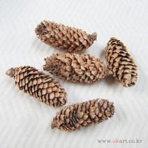 (주)아트인 롱~솔방울(50g)