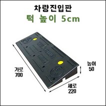 경사로X진입판 PE 차량진입판 5~25cm (자동차 경사로 경사판 램프 슬로프)