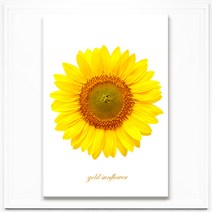 [7일간 추가할인] TV방영 상품! 돈 들어오는 골드 해바라기 풍수그림 재물운 금전운 그림액자 15종, 12. 황금 부자 해바라기 화이트